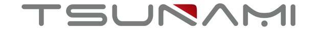 TSUNAMI logo