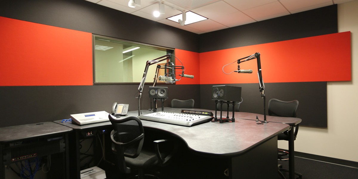 microphone arms