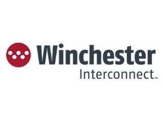 Kings by winchester